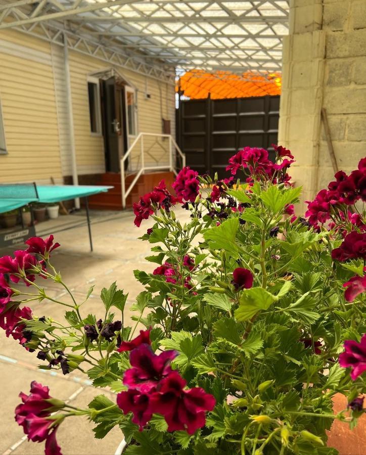 Hostel My House Каракол Екстер'єр фото